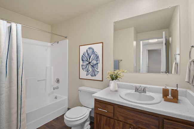 2x1 - Bathroom - The Lakes Apartments