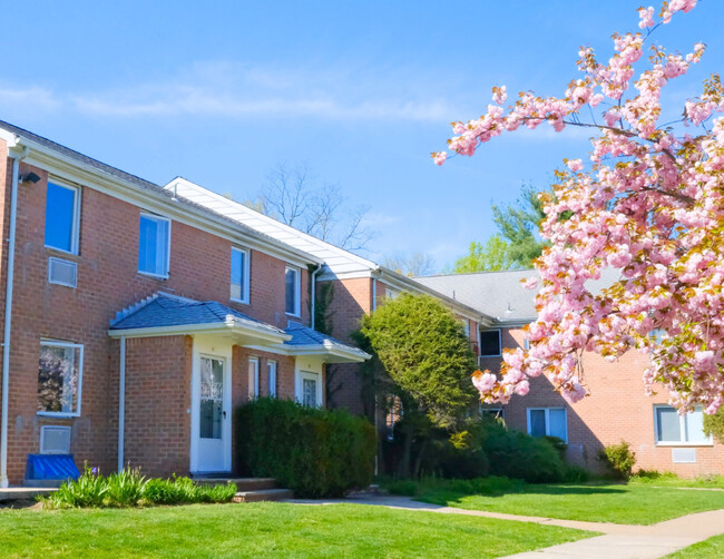 Cherry Blossom - Short Hills Terrace Apartments