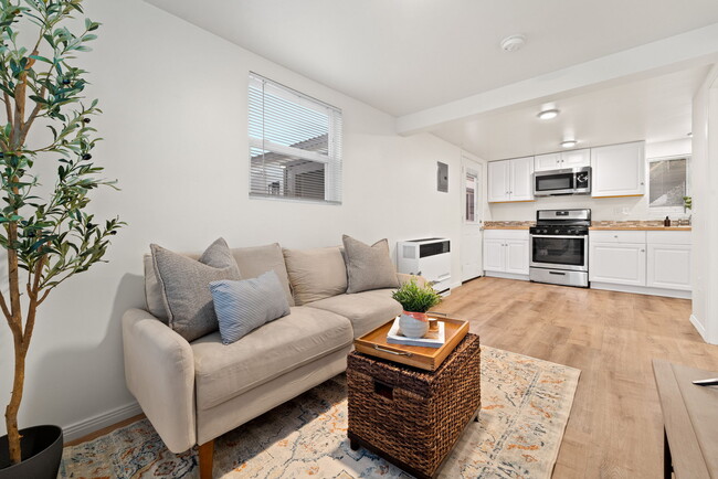 Living room, front door, kitchen