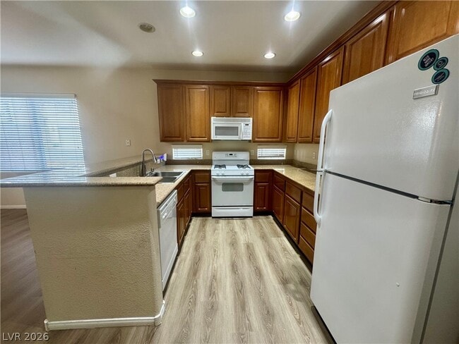 Photo - 8277 Brilliant Pompon