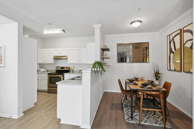 Photo - Alvista Bowie