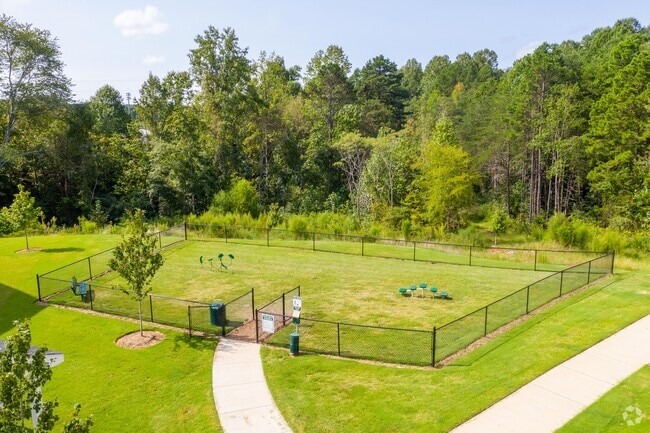 Dog Park