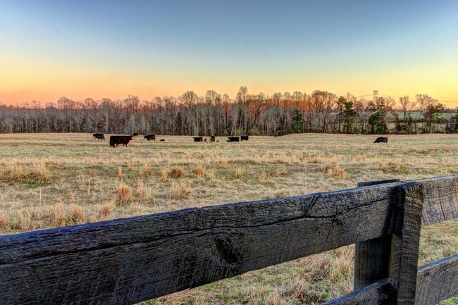 Photo - 2210 Stony Point Rd