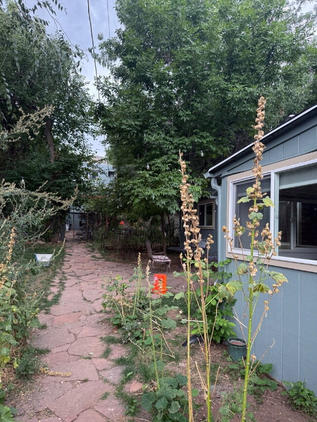 Photo - Beautiful and cozy 3 Bedroom 1 Bathroom Ho...