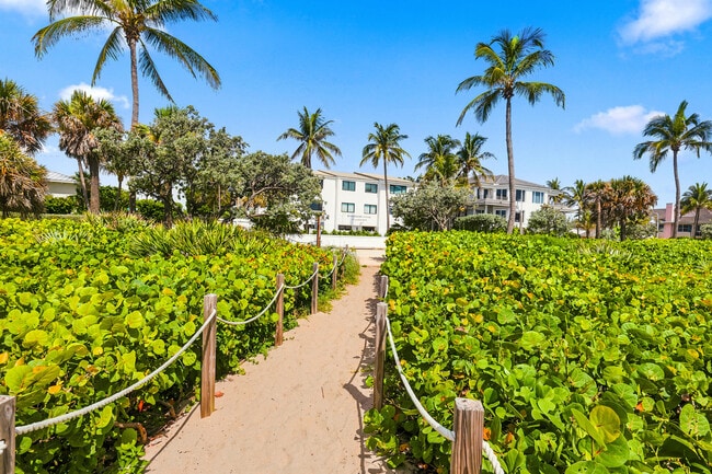 Photo - 250 S Ocean Blvd Unit 263
