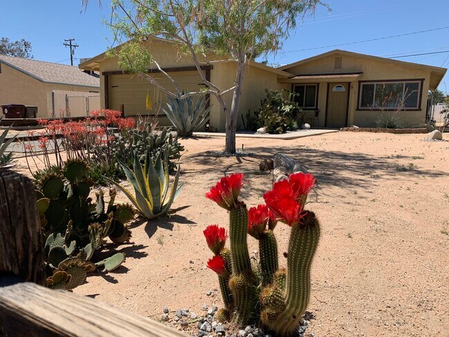 Photo - 6186 Chia Ave