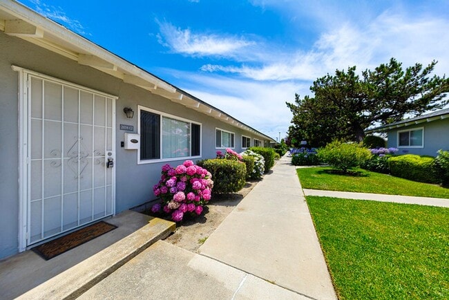 Updated 2 bed, 2 bath - Updated 2 bed, 2 bath Condo Unit C2