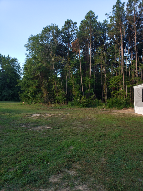 Photo - 2715 W McCrainie St