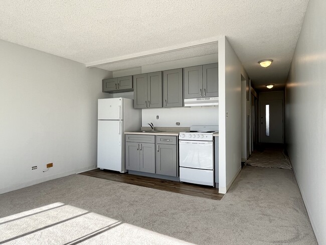 Kitchen & Hall - 500 University Ave Unit 1611