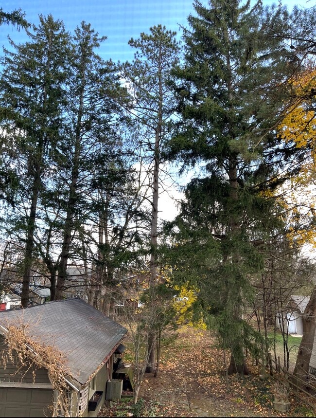Photo - 168 Green St