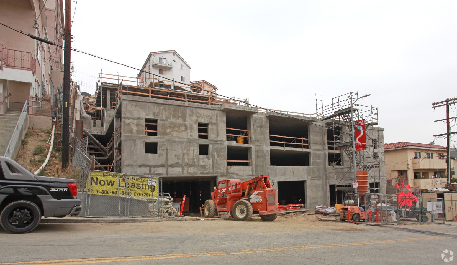 Photo - Lotus Garden