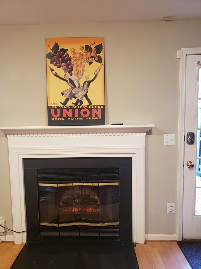 working electric fireplace - 21015 Lemon Springs Ter