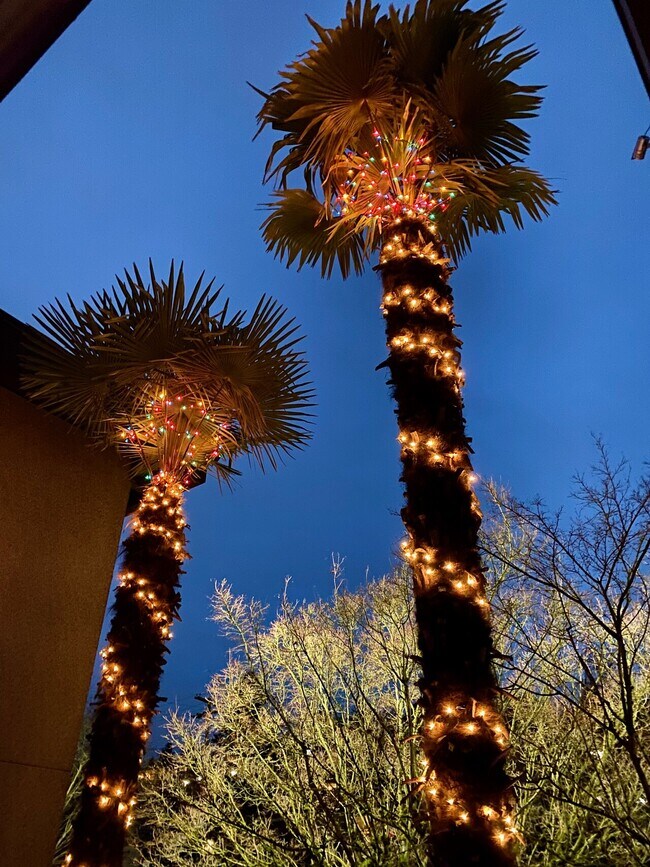 Photo - 400 Rencliffe Apartments Unit 405