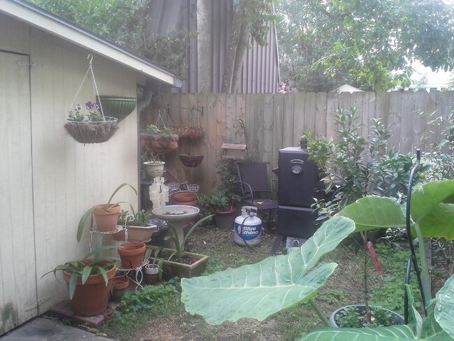 Private Back Yard - 6330 Annunciation St Unit 1