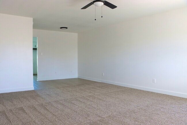 Photo - Urbana on Rose