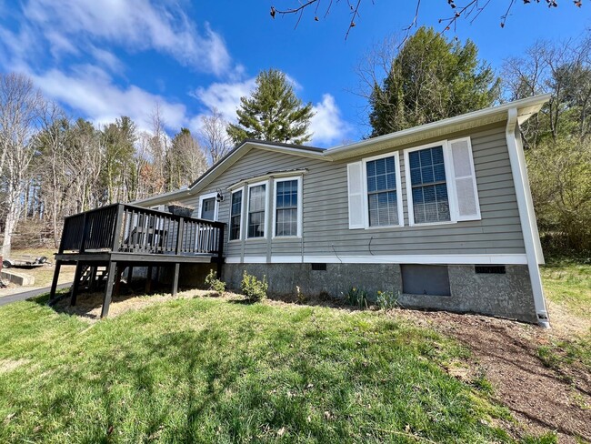 Photo - 3-Bed, 2-Bath home in N. Asheville!
