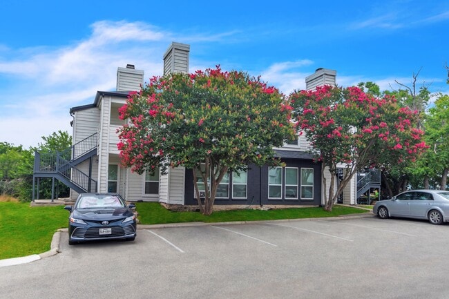 Exterior Trees