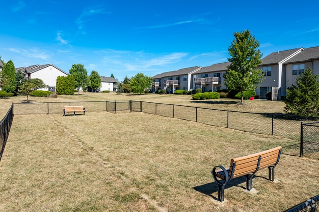 Dog Park