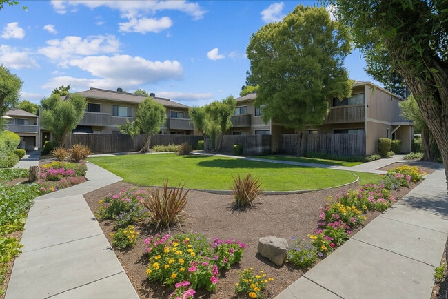 Walnut Grove Apartments - Walnut Grove Apartments