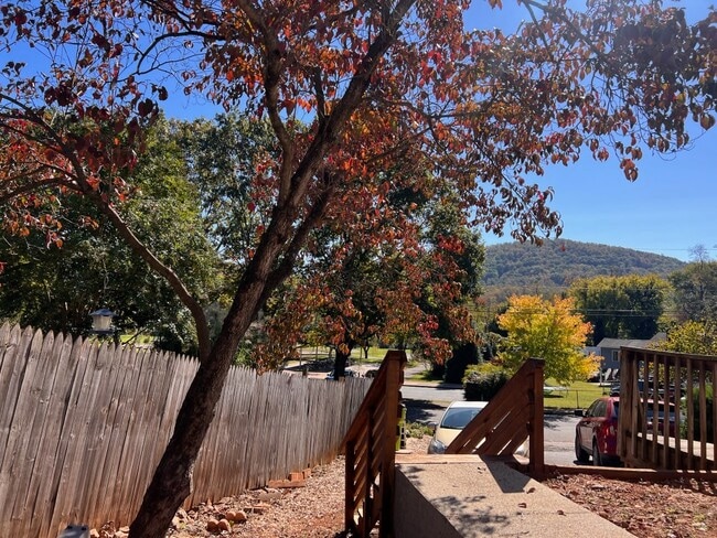 Photo - 925 Rives St