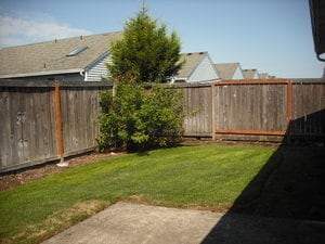 Photo - Maurina2 Unit B