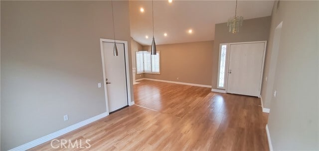 Photo - 10 Woodsorrel