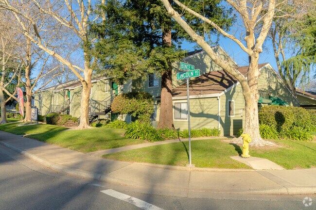 Primary - Lincoln Place