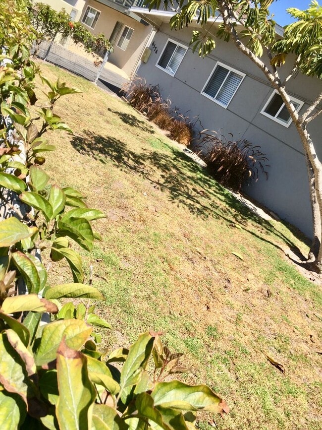 Photo - 6574 DP Unit #B