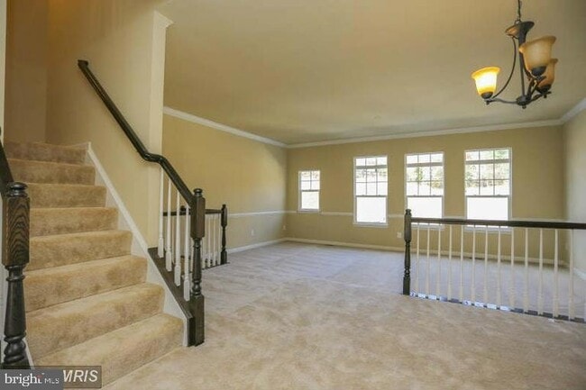 Photo - 262 Short Branch Rd