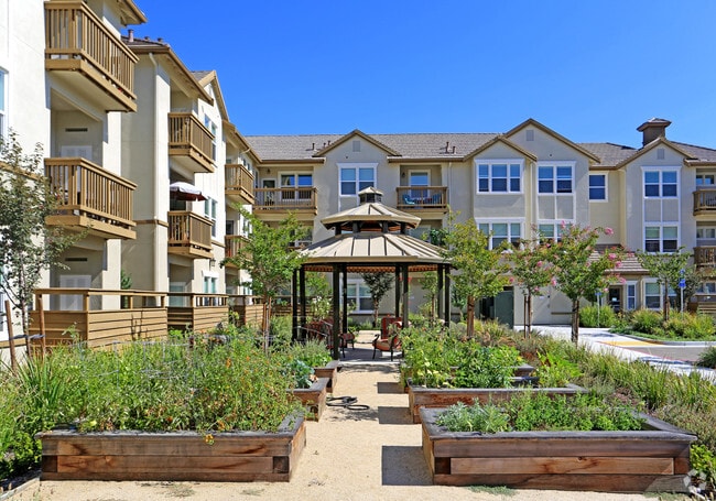 Meadow Wood At Alamo Creek - Meadow Wood At Alamo Creek