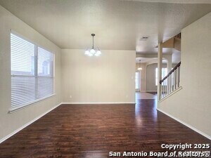 Photo - 12239 Painted Daisy