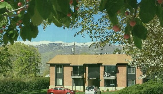 Orchard Gardens Apartments - Orchard Gardens Apartments