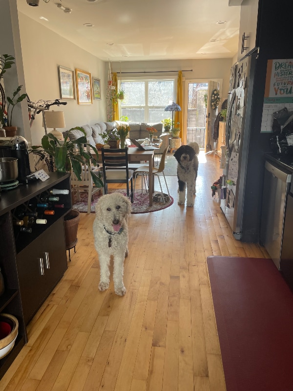 Photo - 527 Titan St