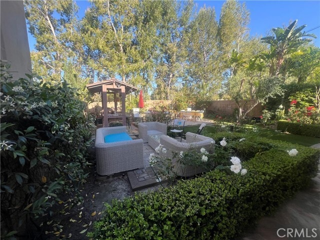 Photo - 27 Tree Clover