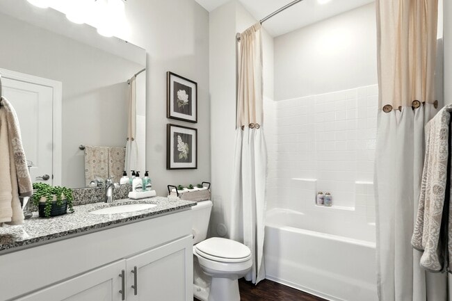 Photo - The View at Paris Mountain