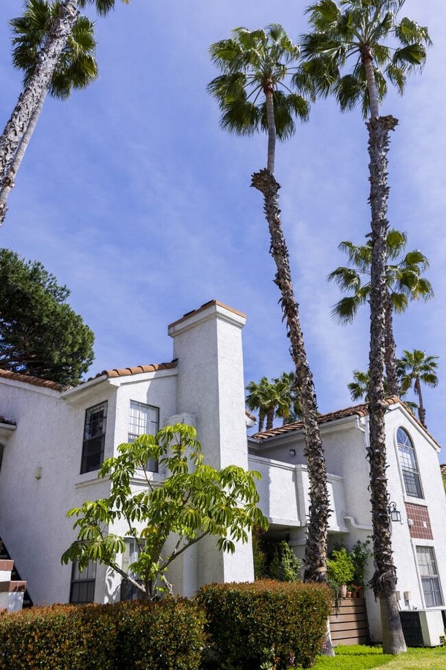 Alicia Viejo Apartment Homes