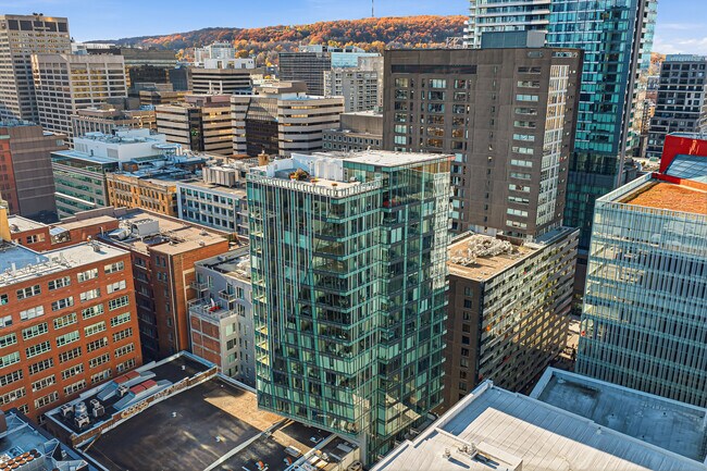 Building Photo - Primeira Apartments