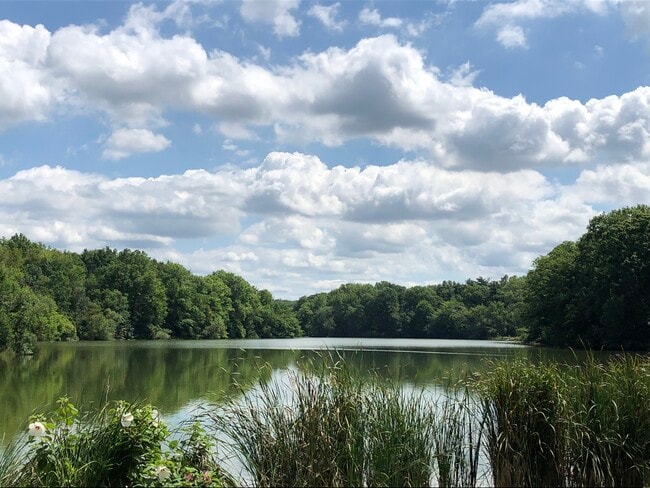 Shaker Lakes - 2479 E 124th St Unit 124th Street