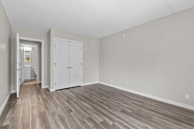 Living Room With Natural Lighting