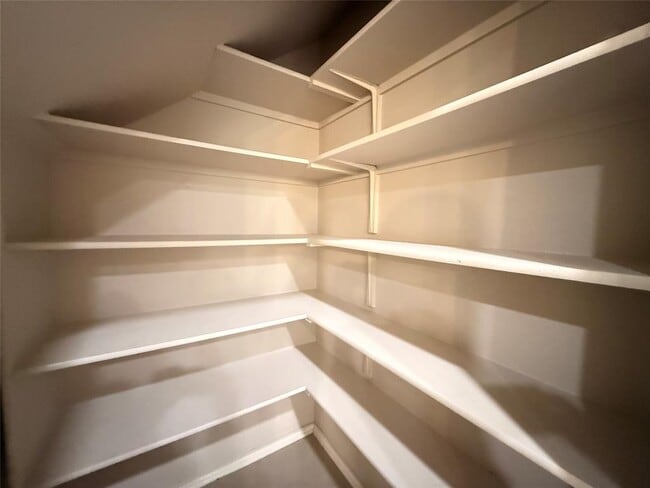 Photo - 1922 Tasmanian Tiger Trace