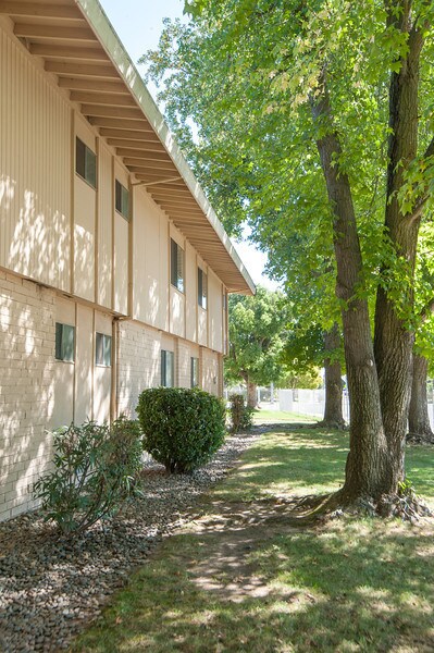 Photo - Spartan Oaks Apartments