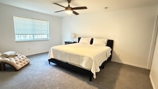 master Bedroom - 4009 Juneberry St