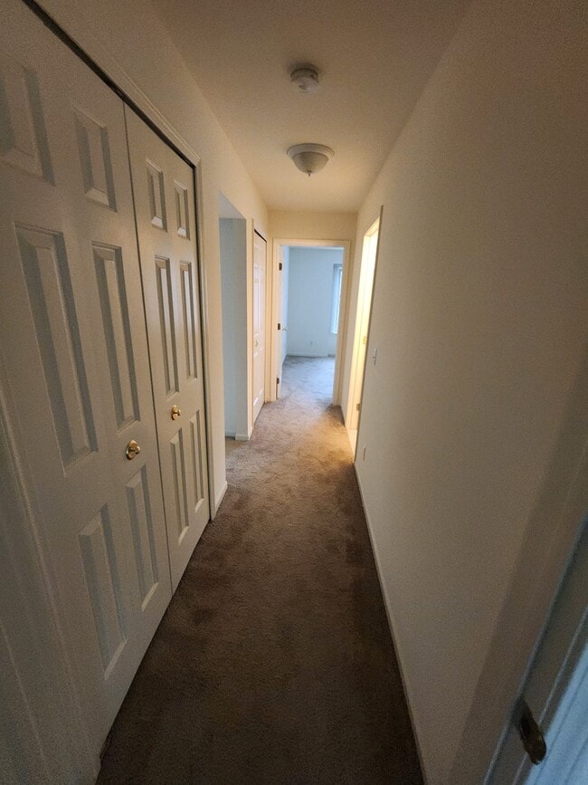 Photo - Liberty Woods