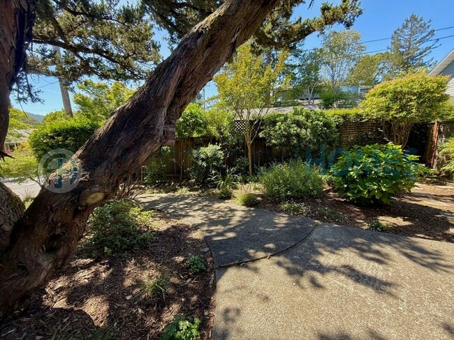 Photo - Charming 3BD/2BA Kentfield Retreat with Pool! Bocce Court! Private Yard! FOUNDATION