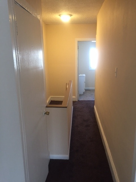 Photo - 2629 Earp St