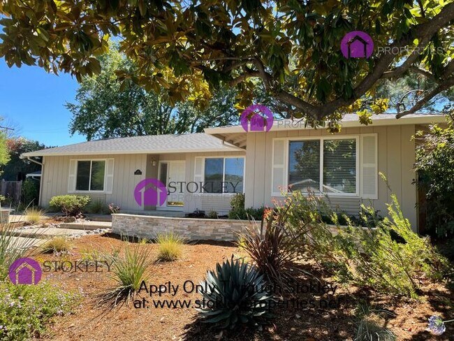 Stokley Properties Presents 219 Paloma Cor... - Stokley Properties Presents 219 Paloma Cor... House