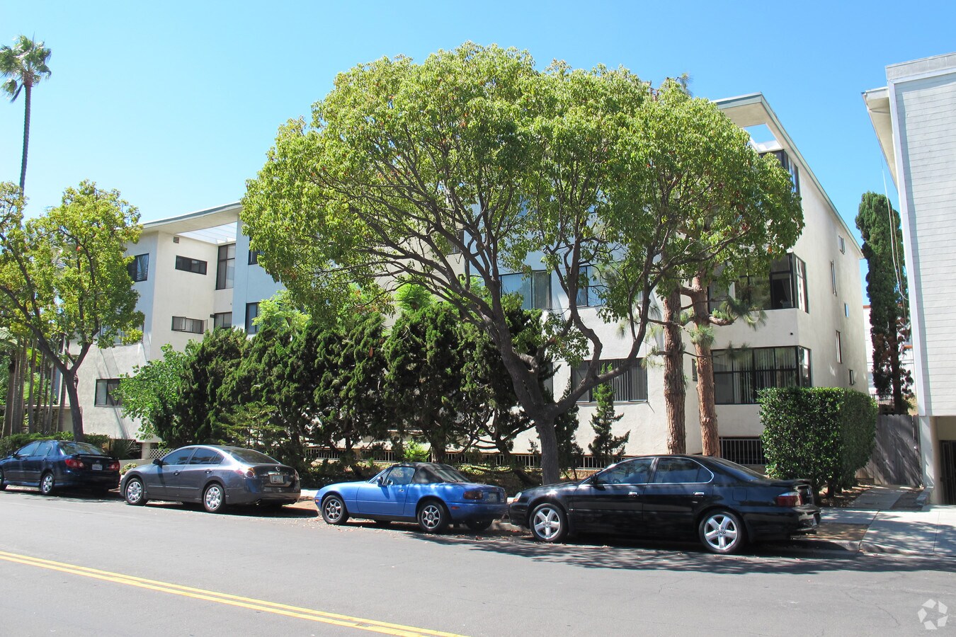 Lido Terrace Apartments - Lido Terrace Apartments