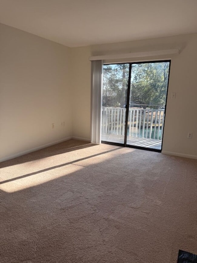 Photo - Salt Marsh Cove