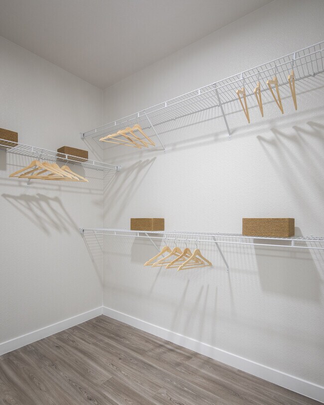 Prose Buda Apartments Buda, TX