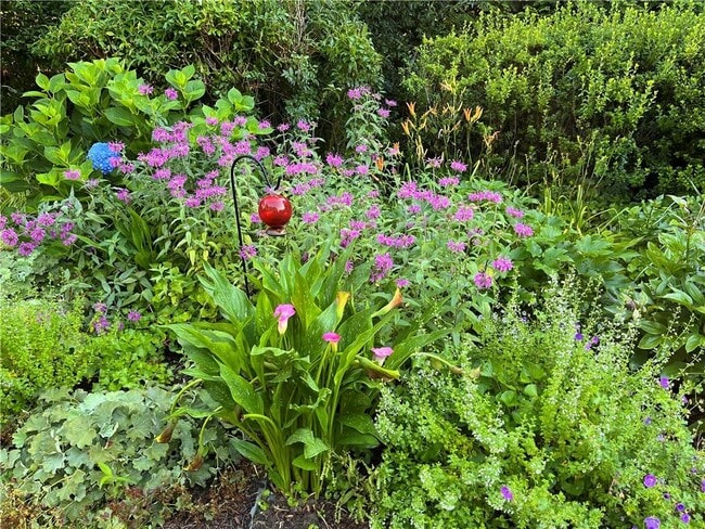 Photo - 38 Seaview Ave